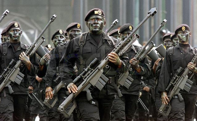 Mexican military forces in Michoacan. Photo by Diego Fernandez. Released to the public domain.
