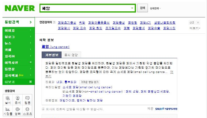 Screenshot of Naver search. Naver displays its own content at the top of the search, followed by sponsored links.